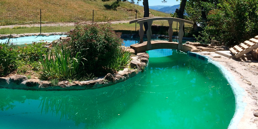 TRATAMIENTO DE PISCINAS: AGUA VERDE